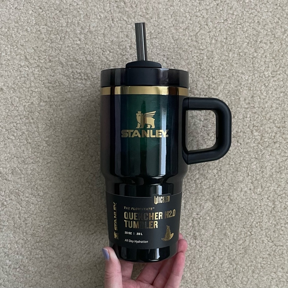 Stanley x Wicked For Good Elphaba 20oz Stainless Steel Tumbler Cup